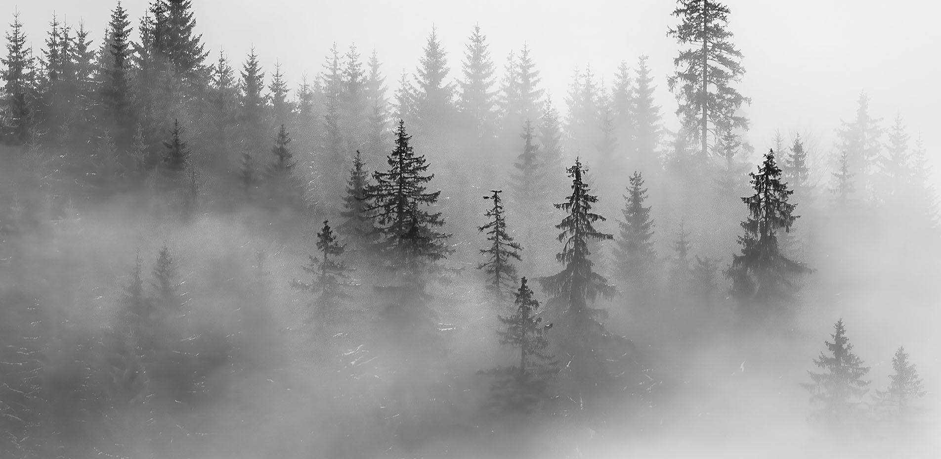 Welcome to Joe Polecheck Photography