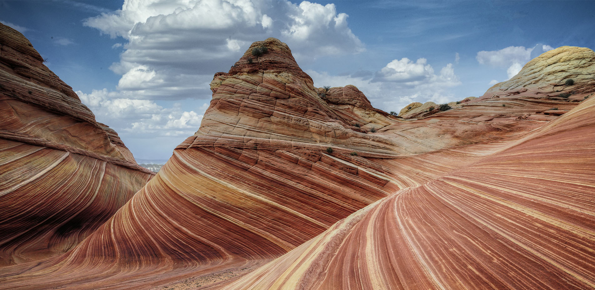 Welcome to Joe Polecheck Photography